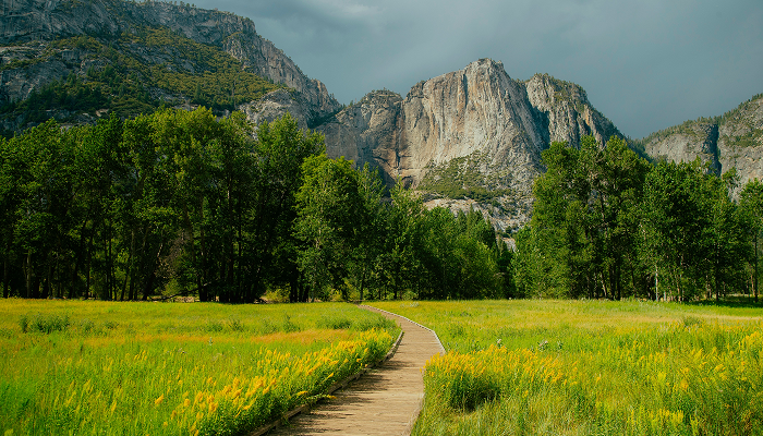 Large green field with a path and mountains and trees in the background