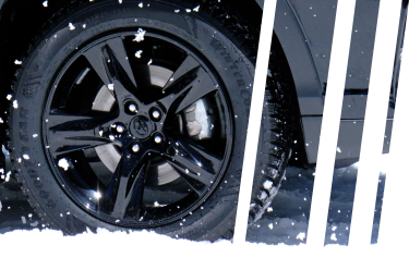 tire in snow