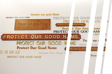 Protect our good name wall