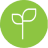 Sustainable Souring Icon