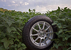 Goodyear Assurance WeatherReady tire in a soybean field